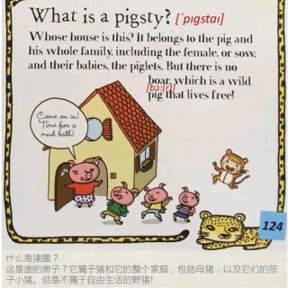 Animals 46 What is pigsty? 猪圈