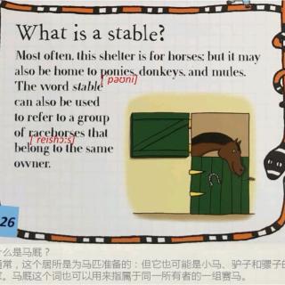 Animals 48 What is a stable?马厩