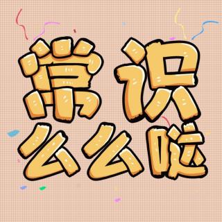  选择声音  常识么么哒：2018宪法修正案重要内容分享