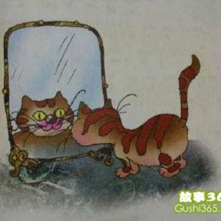 小花猫照镜子