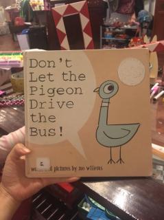 Don't let the pigeon drive the bus