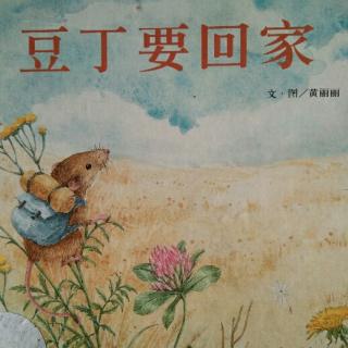 《豆丁要回家》