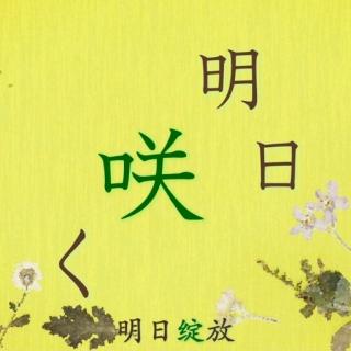 夏目友人帐六 02——明日绽放