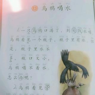 一年级语文13课——《乌鸦喝水》