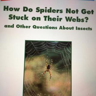320 How do spiders not Get stuck on their webs?