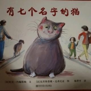 有七个名字的猫