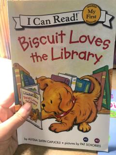 Dec 19th Biscuit loves the library