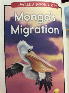 k-Mongo's migration