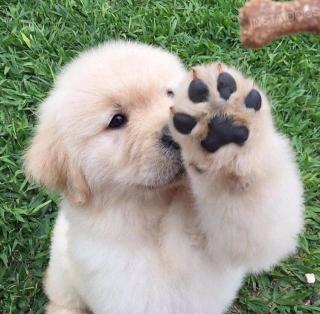 w2 day6趣味小灶作业