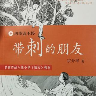 《带刺的朋友》蜘蛛网上的迷