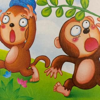 培心幼儿园晚安故事第256期《淘气的小猴》