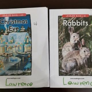 rabbits&Christmas eve20181220
