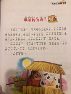 戴响铃的奶牛