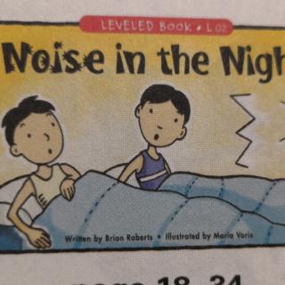 Noise in the Night