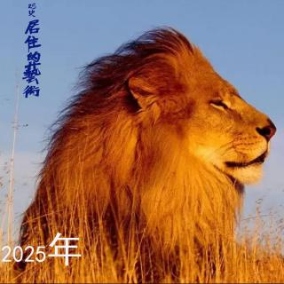 25史居住的艺术（2025年）