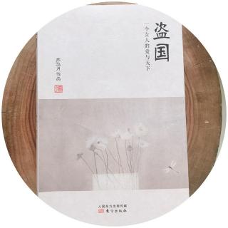 《盗国》苏泓月-32