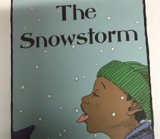 the snowstorn