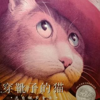 穿靴子的猫🐱