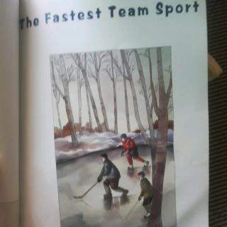 The Fastest Team Sport