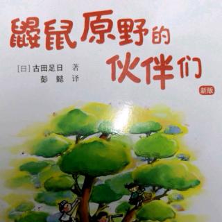 《鼹鼠原野的伙伴们》第九章 炸面圈池子的炸面圈号 中p110~118