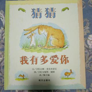 《猜猜我有多爱你》