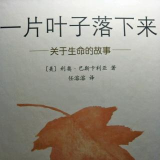 《一片叶子落下来》