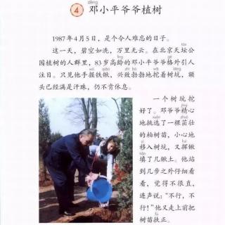 4. 小平爷爷植树