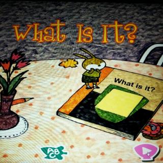 What Is It(Story  双语)