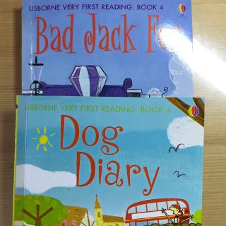 20181222 Dog Diary+Bad dack Fox（Alex）