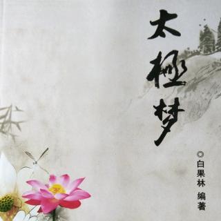 践行至真悟太极——李金龙