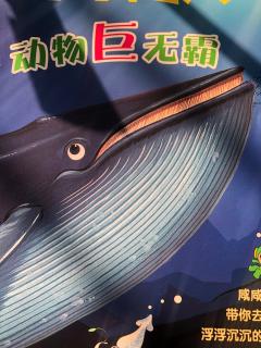 248.夏天妈妈→科学小超人2《动物巨无霸》