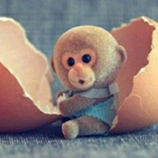 《猴子偷鸡蛋》