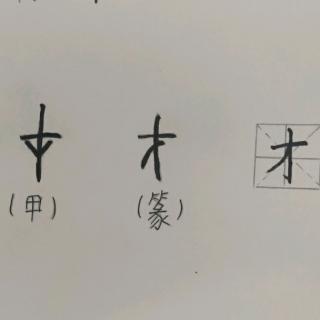 字有道理汉字百科之“才”