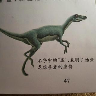 恐龙帝国大揭秘