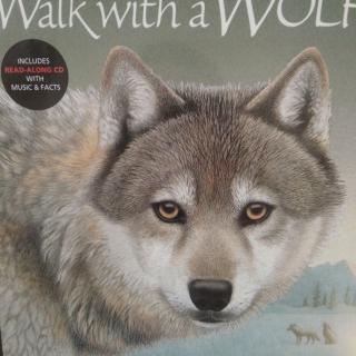 Walk with a Wolf 