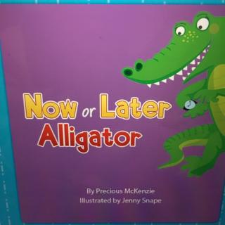 327 Now or later Alligator