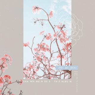 萌德Shawn Mendes同名EP（Remixes）