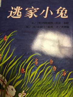 刘洁颖——《逃家小兔》