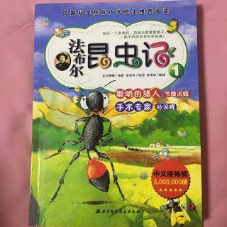 法布尔昆虫记-聪明的猎人节腹泥蜂（上）