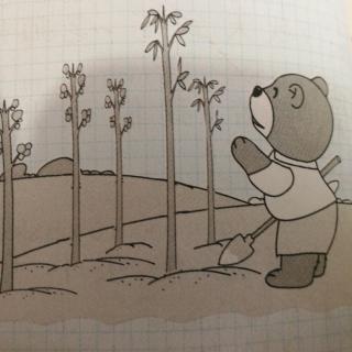 小熊种树