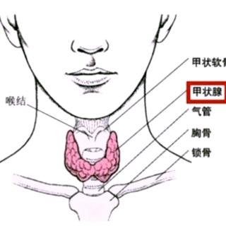 什么是内分泌和内分泌疾病？