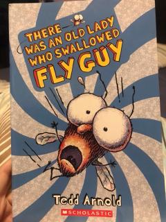 There was an old lady who swallowed fly guy