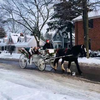 只等，一场雪落梅花