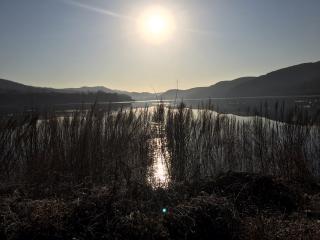 《泣血缠绵 遥寄相思》 任科峰