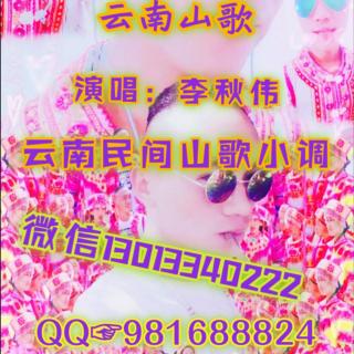 云南山歌《走在孤独的城市》演唱:李秋伟_小雨