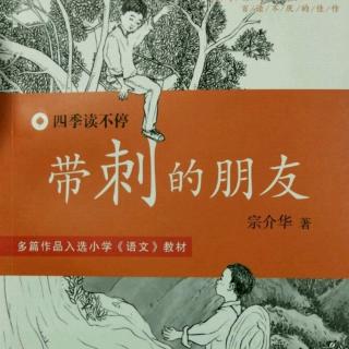 《带刺的朋友》胖巫婆1