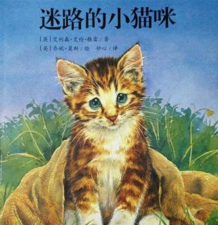 乐而美早教中心故事分享❤迷路的小花猫