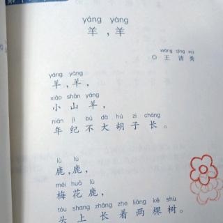 《洋，羊》