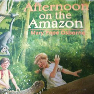 Afternoon On The Amazon(2)