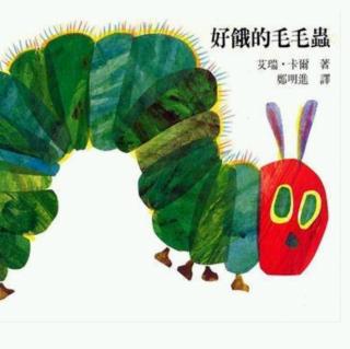 实验幼儿园绘本故事推荐第53期《好饿的毛毛虫》
